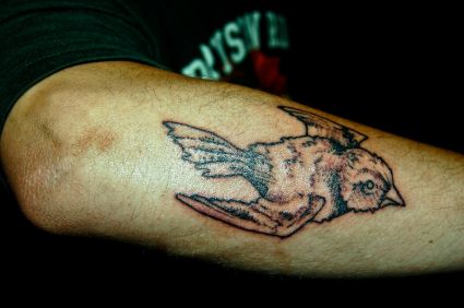 Bird Arm Tattoo