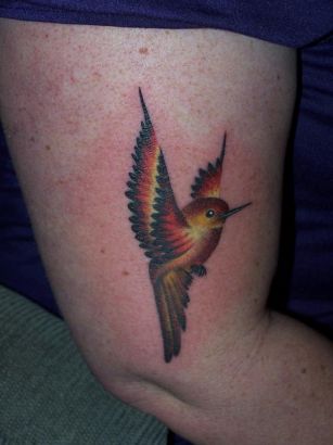 Bird Picture Of Tats 