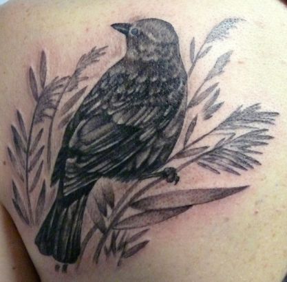 Black Bird Tattoo On Left Shoulder Blade