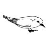 bird free tattoo 