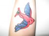 Bird tattoos picture 
