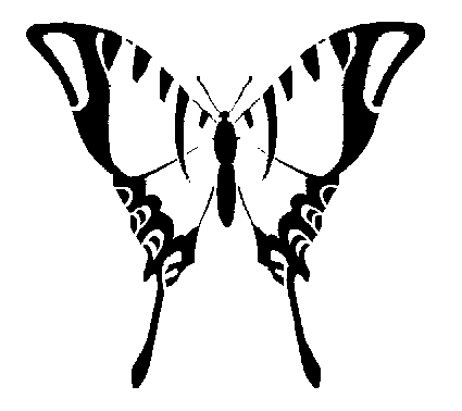 Free Butterfly Tattoo