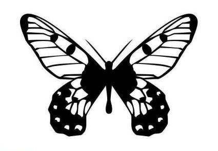Free Butterfly Pic Tattoo