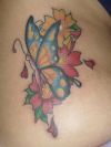 sakura and a butterfly tattoo design