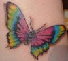 3d butterfly pic tattoo