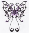 butterfly free pic tattoo