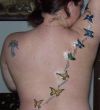 butterflies pic tattoo on back
