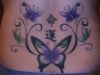 butterflies pic tattoos