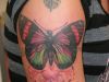 butterfly tattoo image