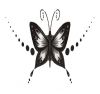 butterfly free images tattoo