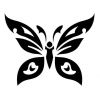 butterfly image of tattoo