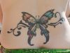 butterfly image tattoos on lower back of women