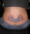 butterfly pics tattoo on lower back