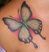 butterfly picture tattoo