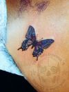 Butterfly PicTattoo Design