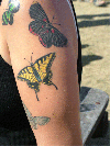 multi butterfly tattoo