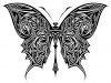 butterfly tribal pics tattoo