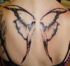 butterfly wing back tattoo