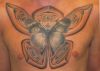 butterfly tattoos pics