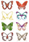 butterfly tattoo gallery