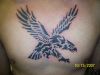 Eagle tattoo on chest