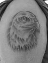eagle head arm tattoo pic
