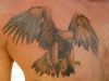 eagle back pic tattoos