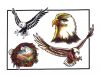 eagle free tat 
