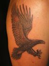 flying eagle picture tattoo