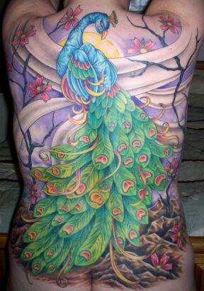 Peacock Tattoo On Full Back