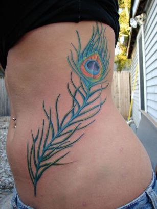 Peacock Feather Tattoo Pic On Rib