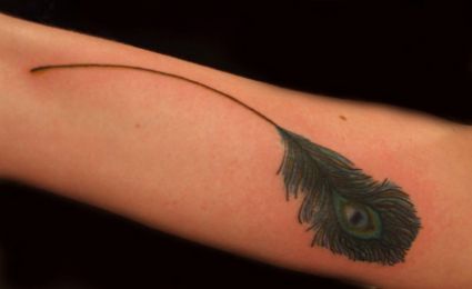 Peacock Feather Tattoos Pic