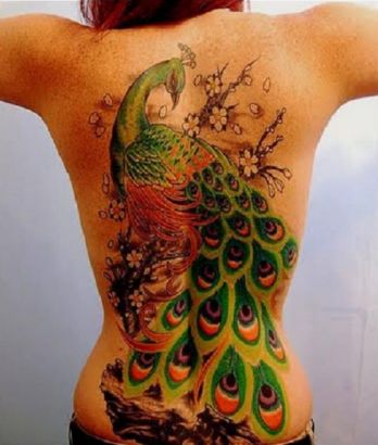 Peacock Tattoo On Girl's Back
