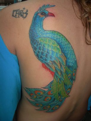 Peacock Pic Tattoo On Side Back