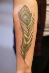 peacock feather tattoo for arm