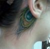 peacock feather tattoo on back of ear
