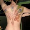 peacock feather pic tattoo on back