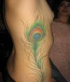 peacock feather tattoos on rib
