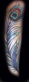 peacock feather pic tattoos