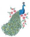 peacock free tattoo