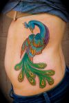 peacock tattoo for rib