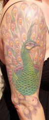 peacock tattoo on right arm