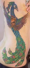 peacock tattoo pics on rib