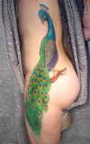 peacock pic tattoo on thigh and side back