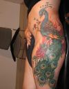 peacock tattoo on thigh and side stomach