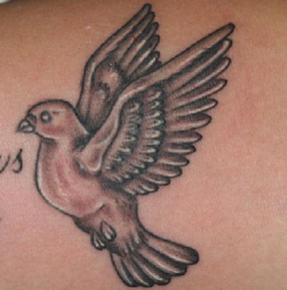 Flying Dove Pic Tattoos
