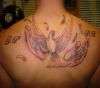 dove pic tattoo on back