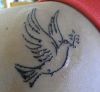 dove pic tattoo on shoulder