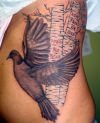 black dove tattoo