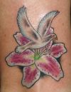 dove tattoo with flower